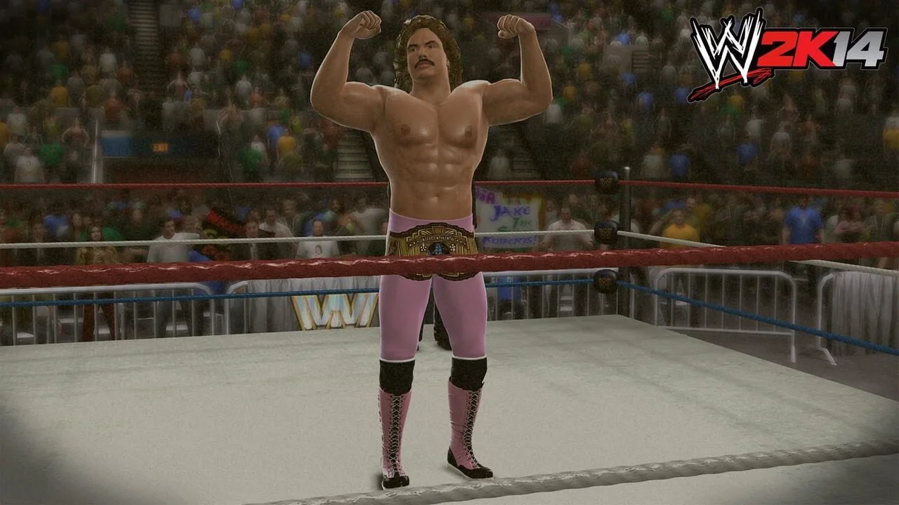 WWE 2K14 gameplay on PlayStation 3