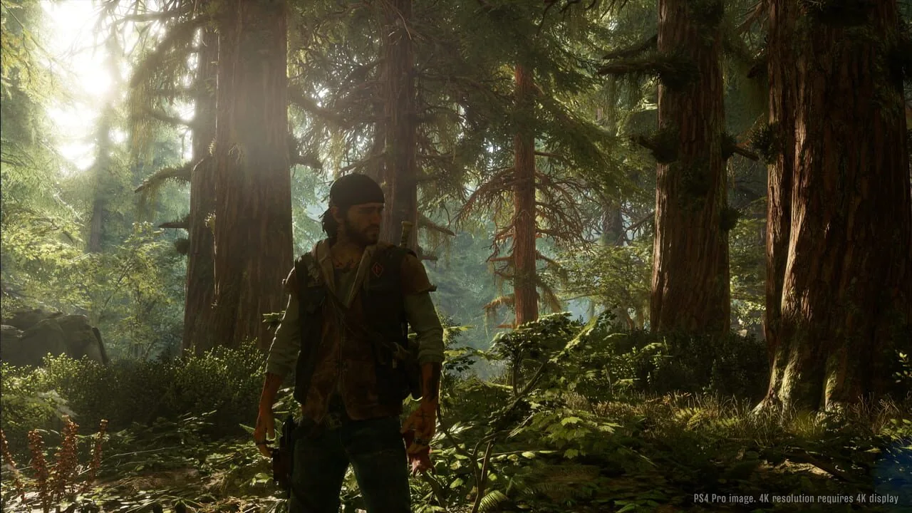 Days Gone screenshot 2