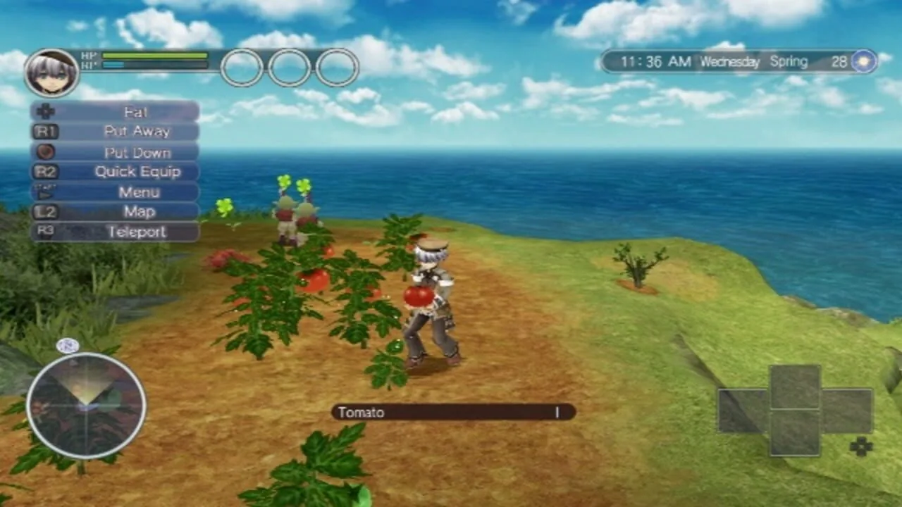 Rune Factory: Tides of Destiny screenshot 1