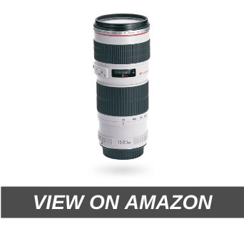 Canon EF 70-200 mm f/4 L USM Telephoto Zoom Lens