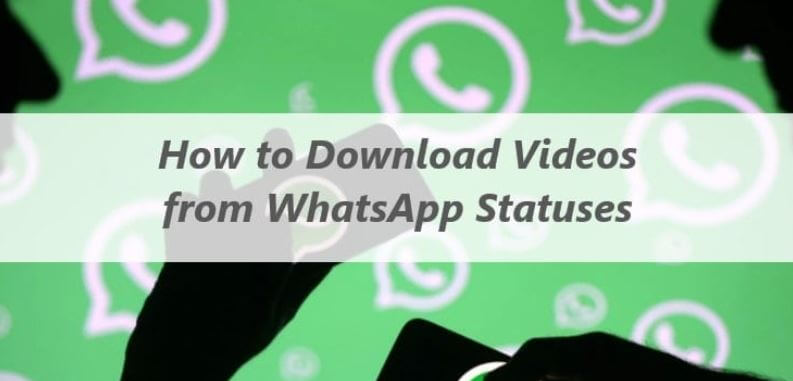 How to Download Videos from WhatsApp Status
