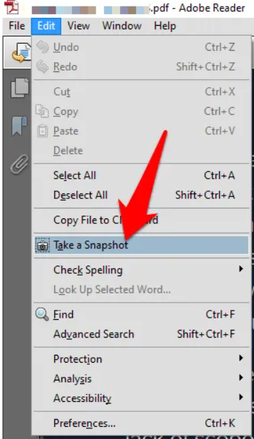 Screenshot or Snapshot Tool