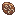 Amphibian Fossil