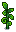 Ancient Fruit regrow