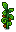Ancient Fruit Stage 5