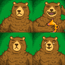 Bear portraits
