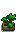 Bonsai Tree