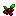 Cranberries