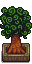 Curly Tree