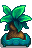 Fancy House Plant