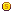 Gold Coin
