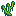 Green Algae