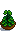 House Plant