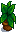 House Plant
