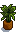 House Plant