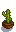 House Plant
