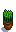 House Plant