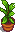 House Plant