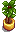 House Plant