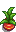 House Plant