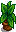 House Plant