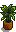 House Plant