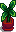 House Plant