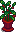 House Plant