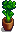 House Plant