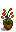 House Plant
