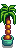 Indoor Palm