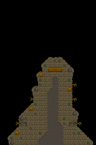 The Summit