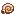 Nautilus Fossil