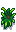 Pineapple regrow