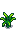 Pineapple Stage 4