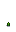 Poppy Stage 2