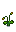 Poppy Stage 4