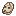 Prehistoric Skull