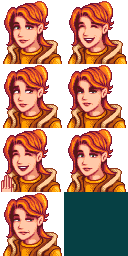 Robin portraits