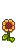 S. Wall Flower