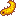 Sea Cucumber