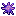 Sea Urchin