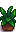 Seasonal Plant
