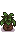 Seasonal Plant