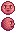 Squid Kid