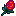 Stardew Valley Rose