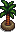 Swamp Plant
