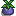 Table Plant