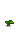 Taro Root Stage 1