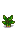 Taro Root Stage 2